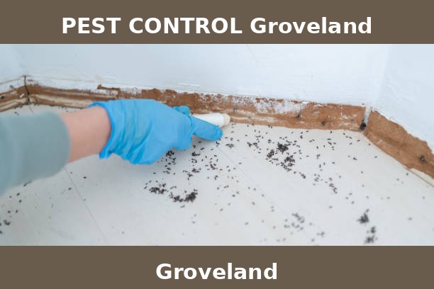 PEST CONTROL Groveland